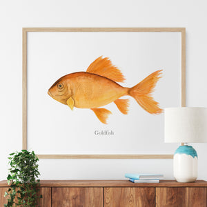 a painting of a goldfish on a white wall