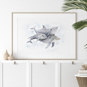 a picture of two dolphins in a frame on a wall