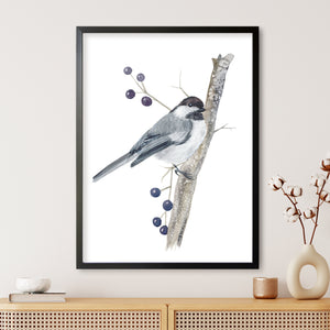a picture of a bird on a branch with berries