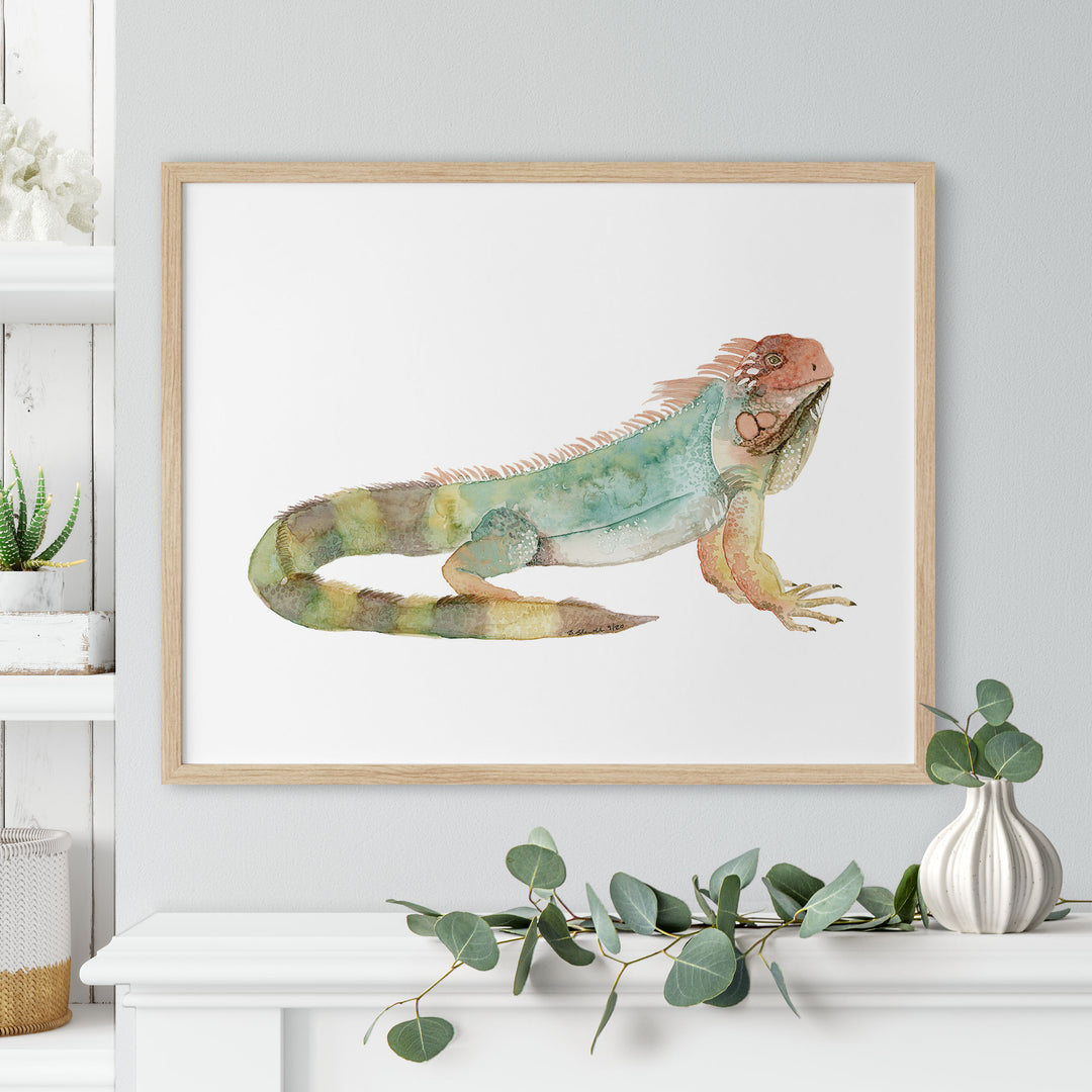 Iguana Watercolor