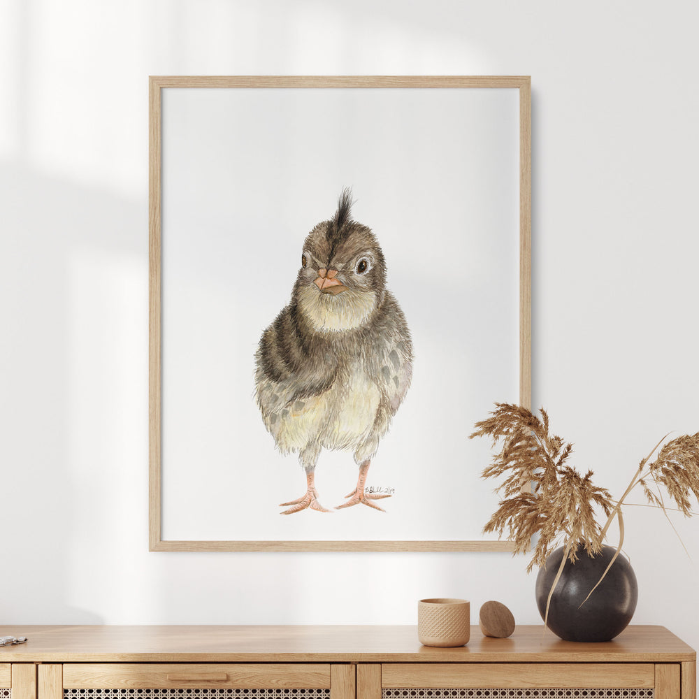a picture of a bird is hanging on a wall