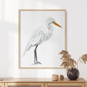 a picture of a bird is hanging on a wall