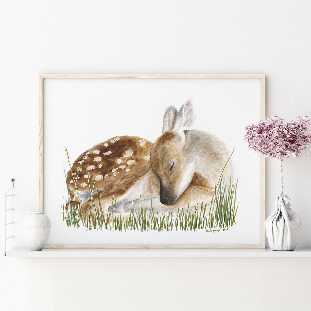 a picture of a deer laying down in the grass