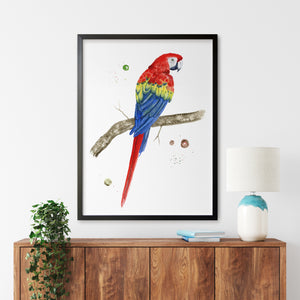 a picture of a colorful parrot on a tree branch