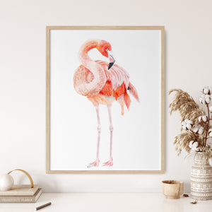 a pink flamingo standing in front of a white wall