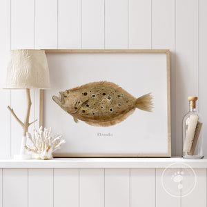 Flat Fish Home Decor