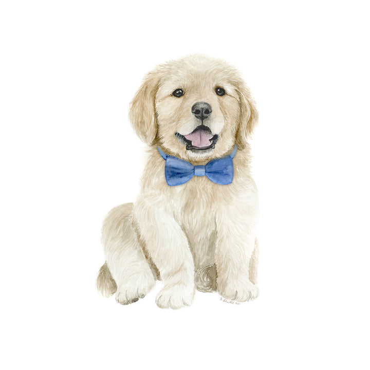 Golden Retriever Puppy in Blue Bowtie
