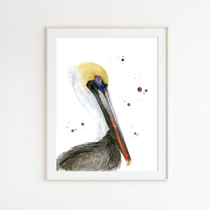 Brown Pelican Watercolor