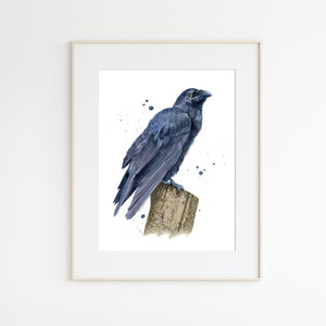Raven Watercolor Print
