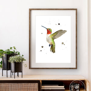 Hummingbird Gift
