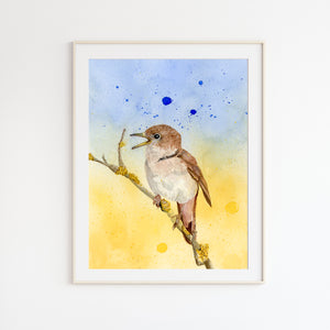 Common Nightingale - Let Freedom Sing print