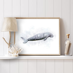 a picture of a dugong on a shelf next to a lamp