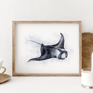 a picture of a manta ray in a frame