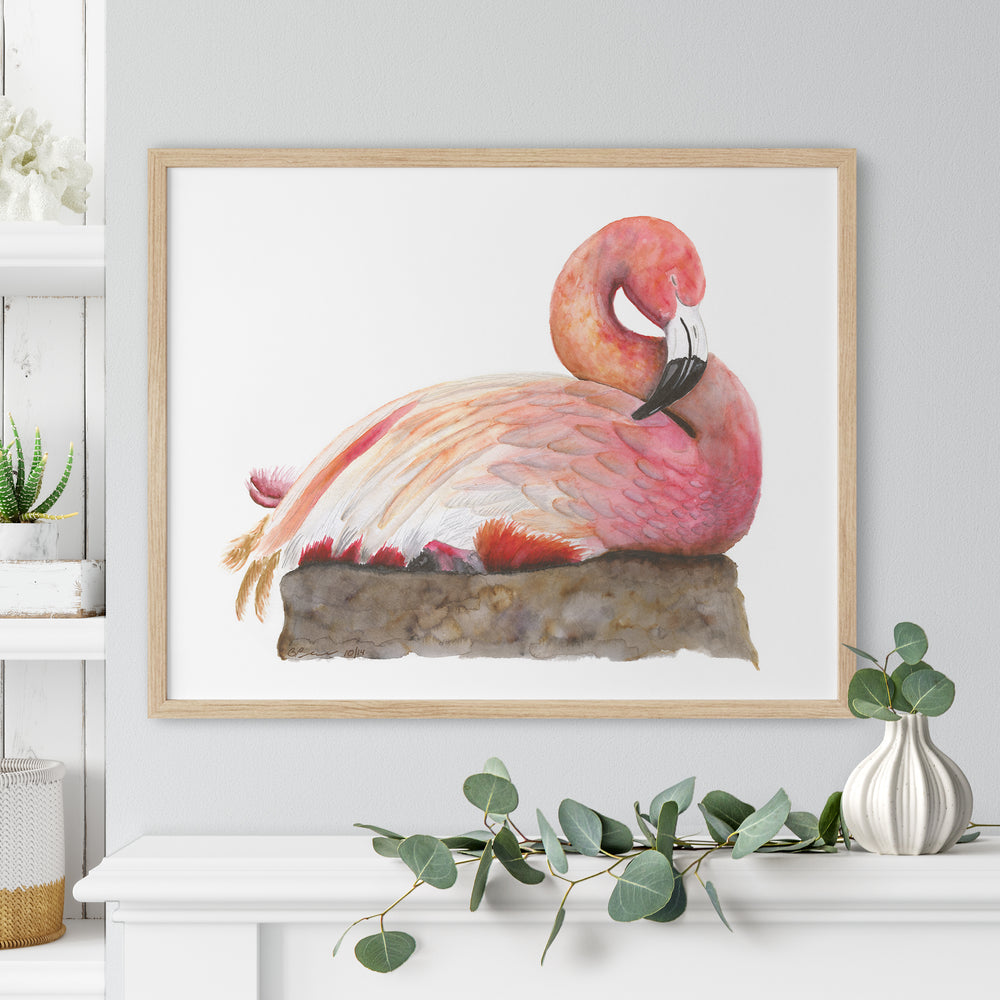a painting of a pink flamingo sitting on a rock