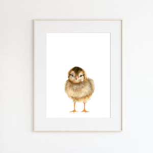 Baby Chick Watercolor Art