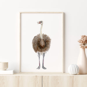 a picture of an ostrich on a shelf