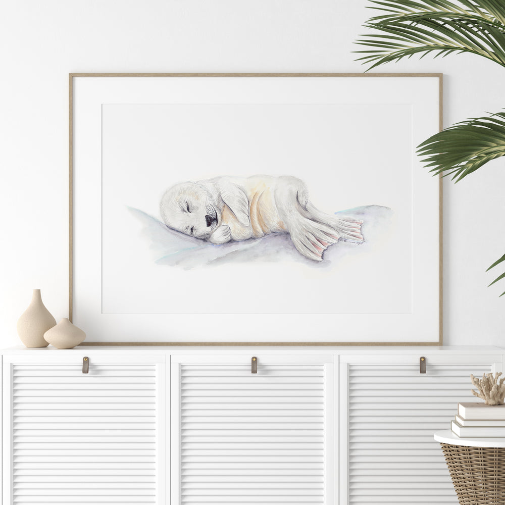 a picture of a white dog laying down