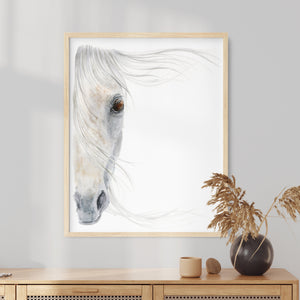 a picture of a white horse in a frame