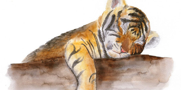International Tiger Day: What You Can Do To Help Raise Awareness