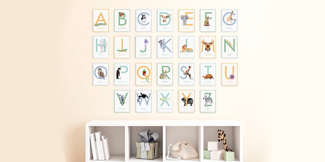 Animal Alphabet and Number Flash Cards