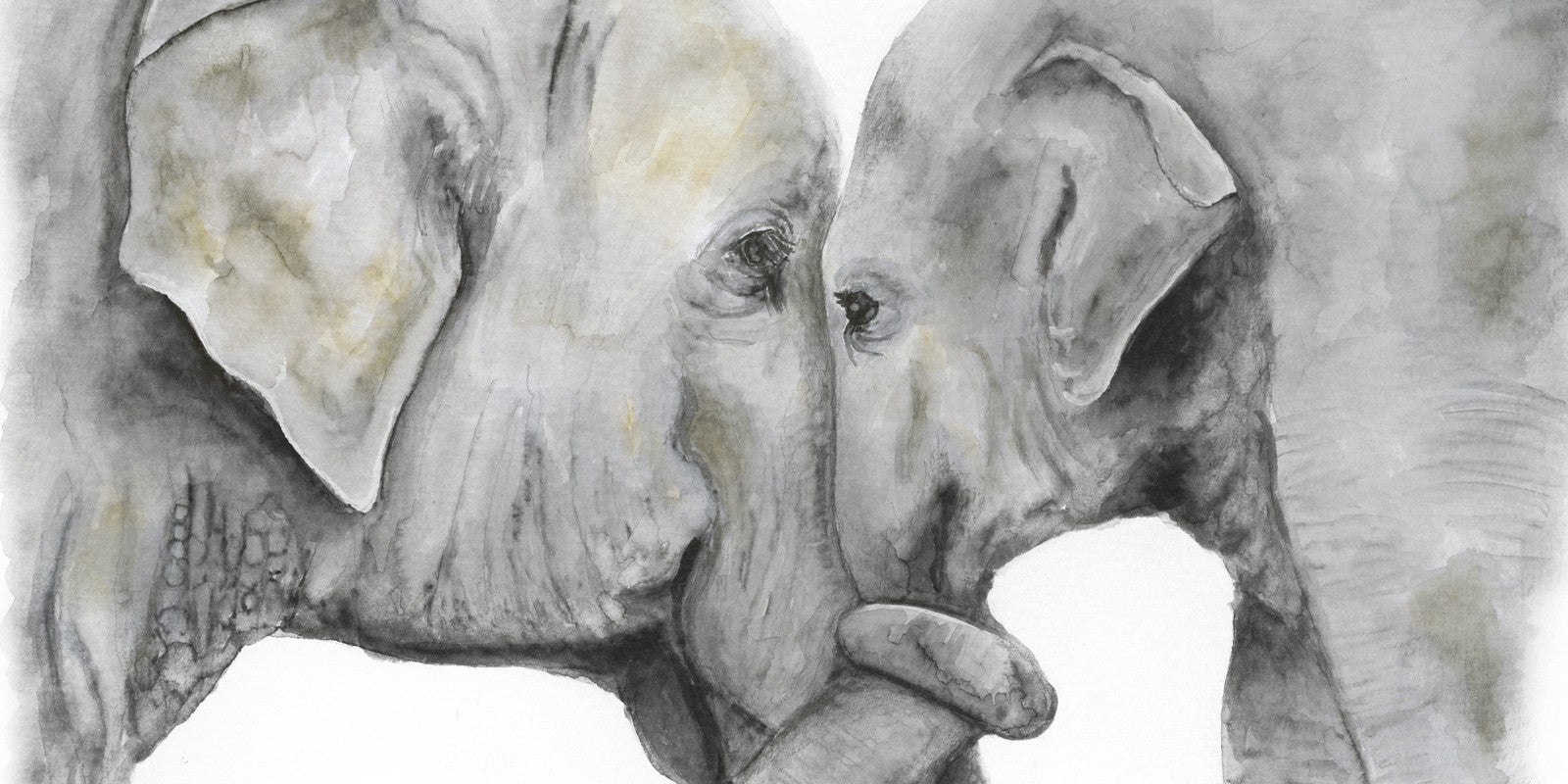 National Elephant Appreciation Day