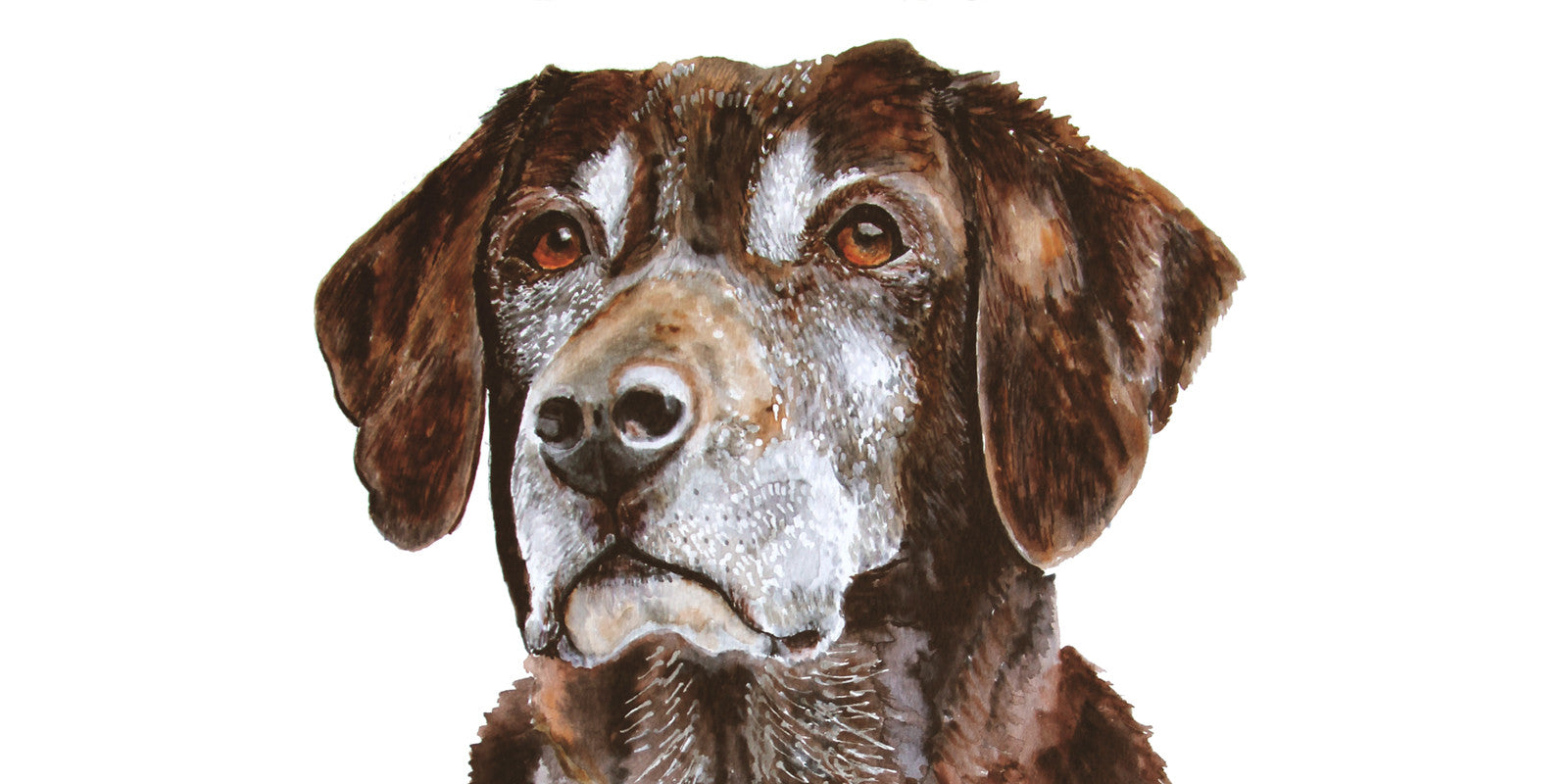 Beautiful Pet Portraits: 4 Requirements