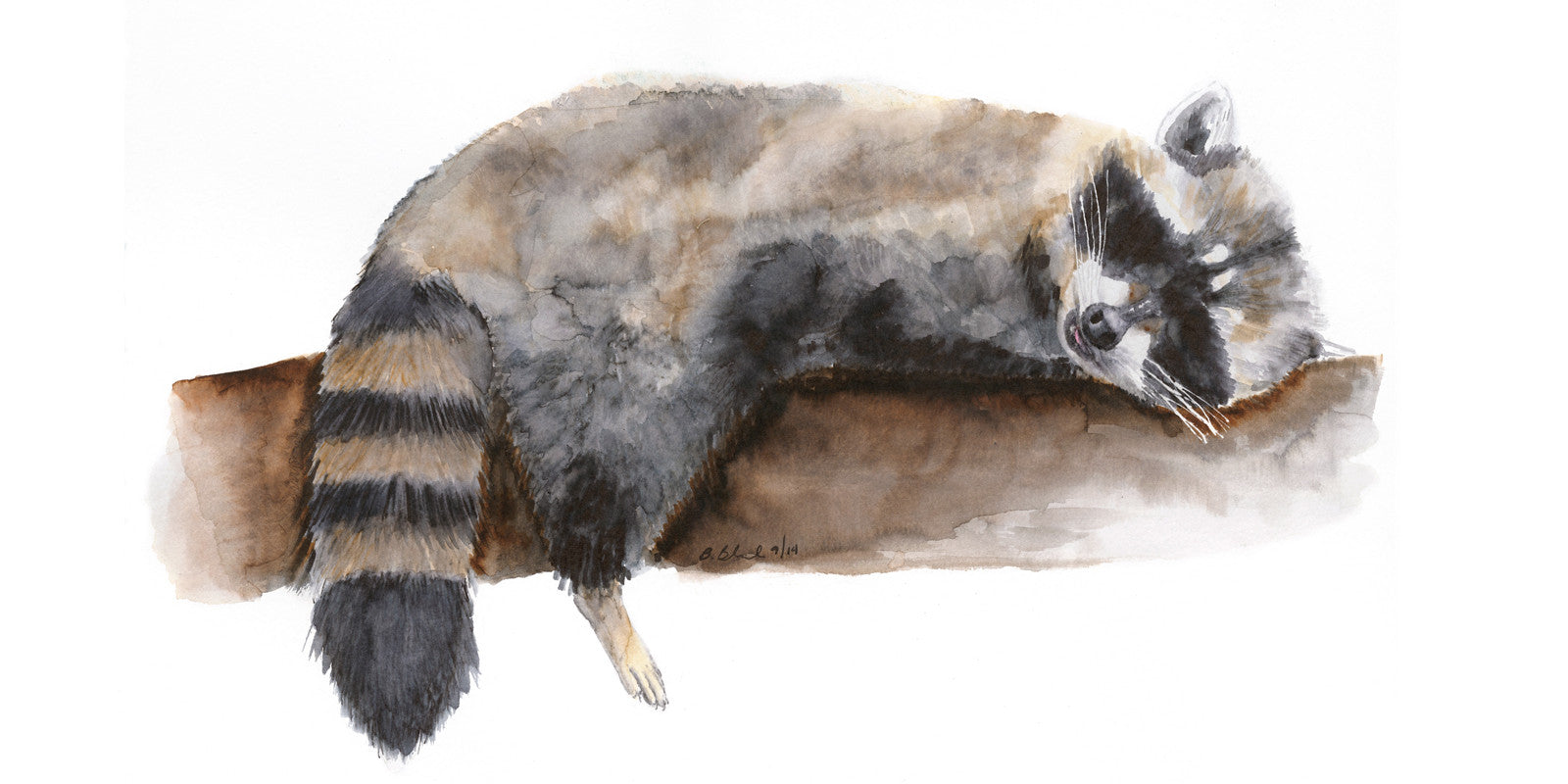 The Raccoon Art Watercolor that Surprised Me