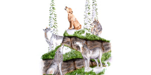 Wolf Awareness Week - October 12-18