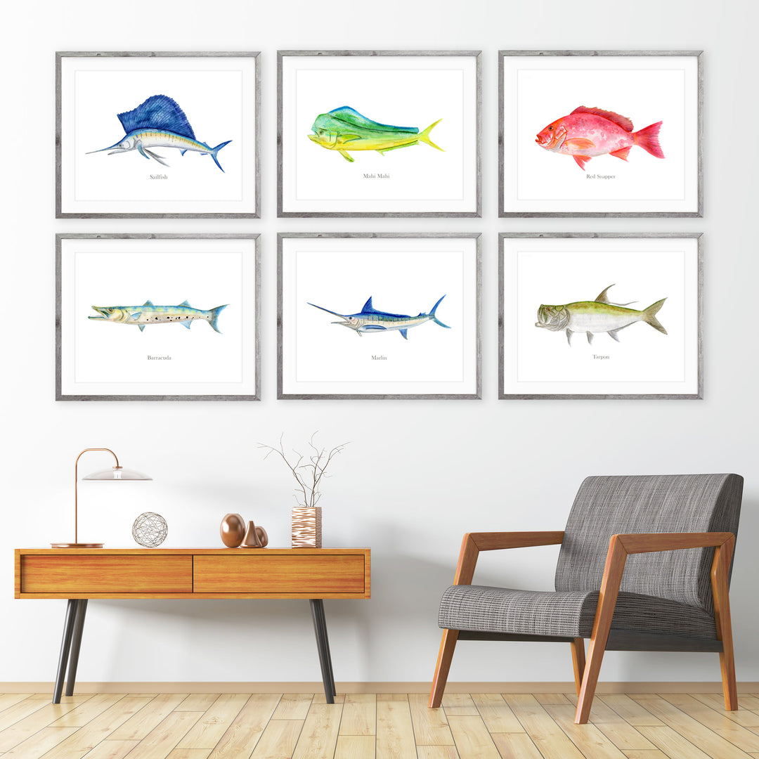 Fish Art Prints