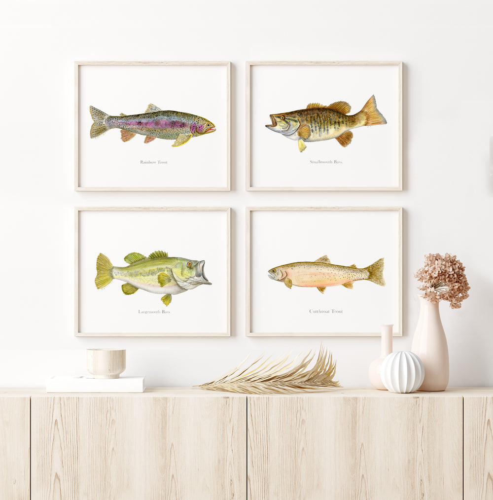Lake Fish Prints Set of 4 – Kids Room or Lake House Wall Art - Tiny Toes Design