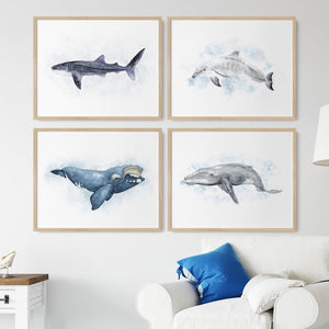 Framed Ocean Nursery Art