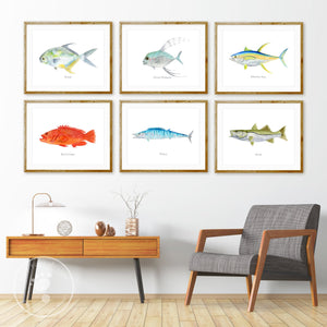 Fish Watercolor Prints