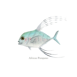 African Pompano Fish Print