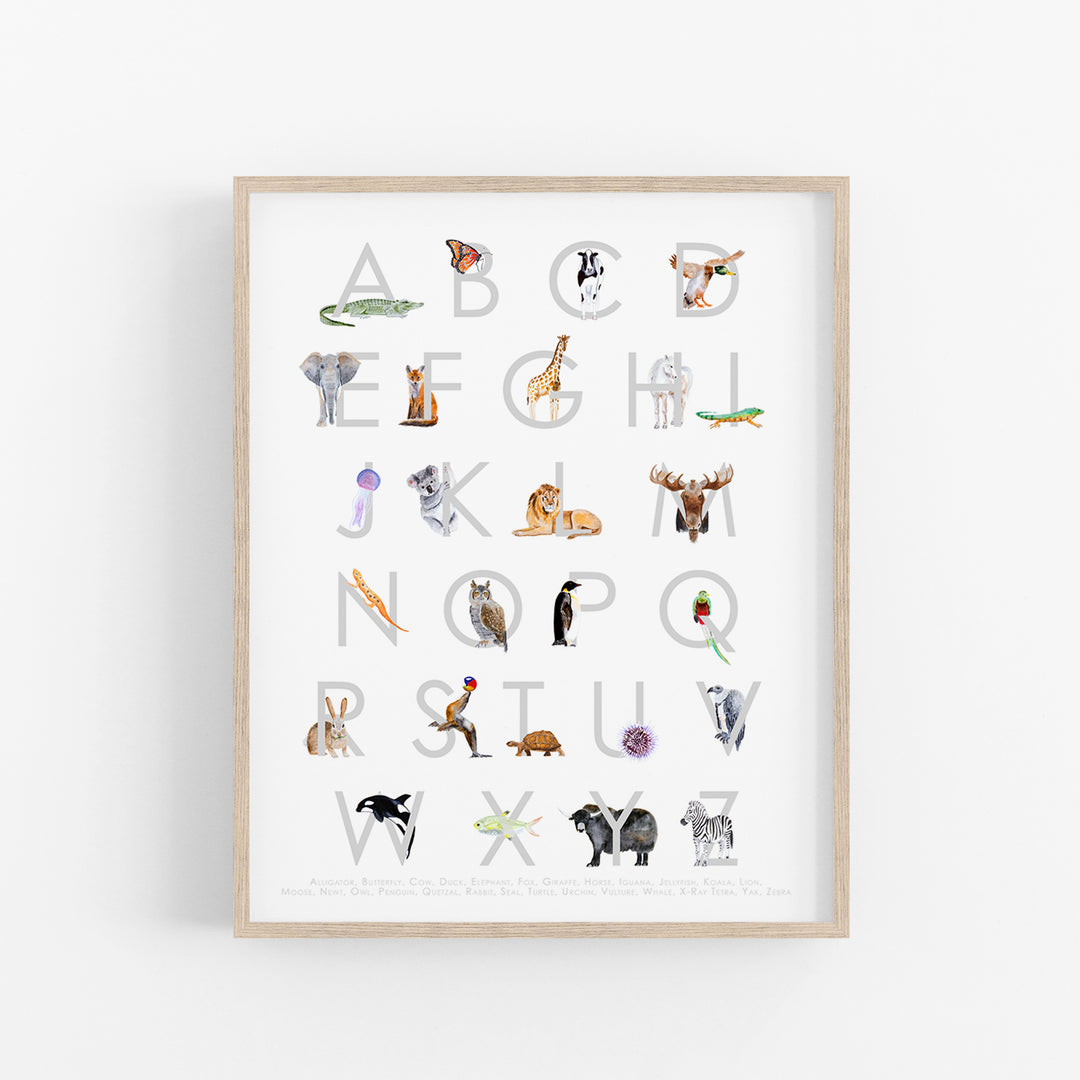 Anmimal Lettering Animal Alphabet Nursery Art | ABCs Playroom Decor – Tiny Toes Design