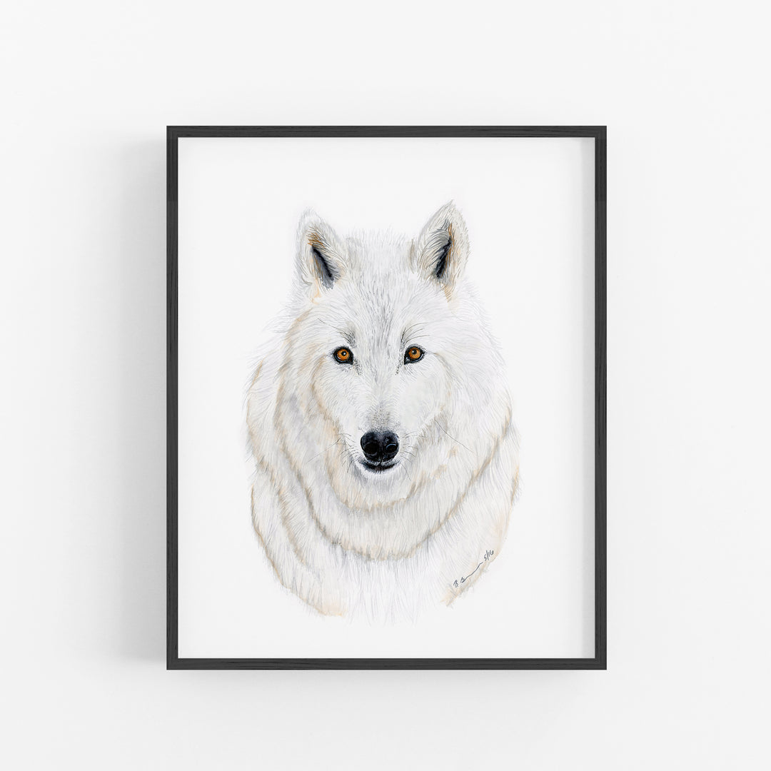 Arctic Wolf Watercolor Portrait - Tiny Toes Design