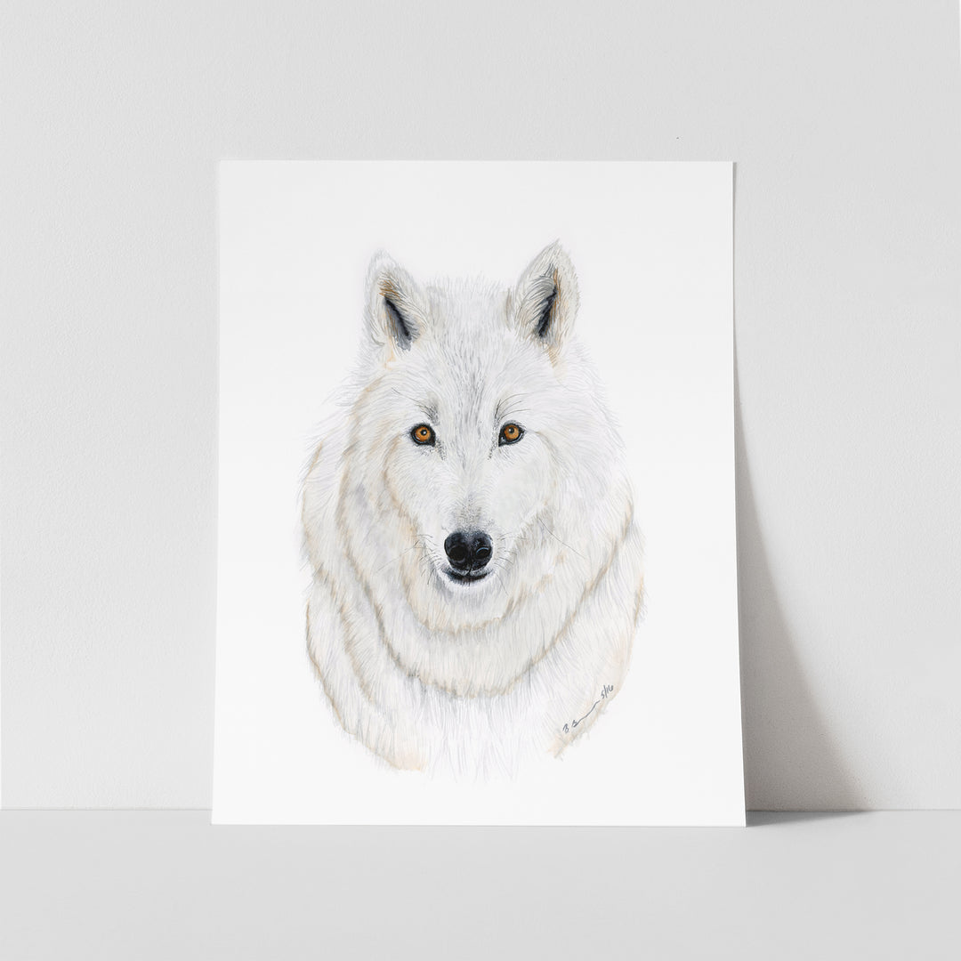 Arctic Wolf Watercolor Portrait - Tiny Toes Design