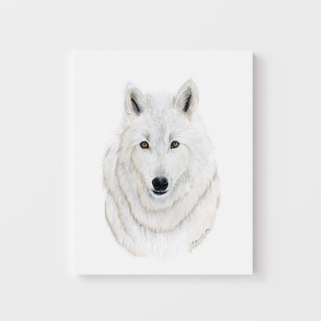 Arctic Wolf Watercolor Portrait - Tiny Toes Design