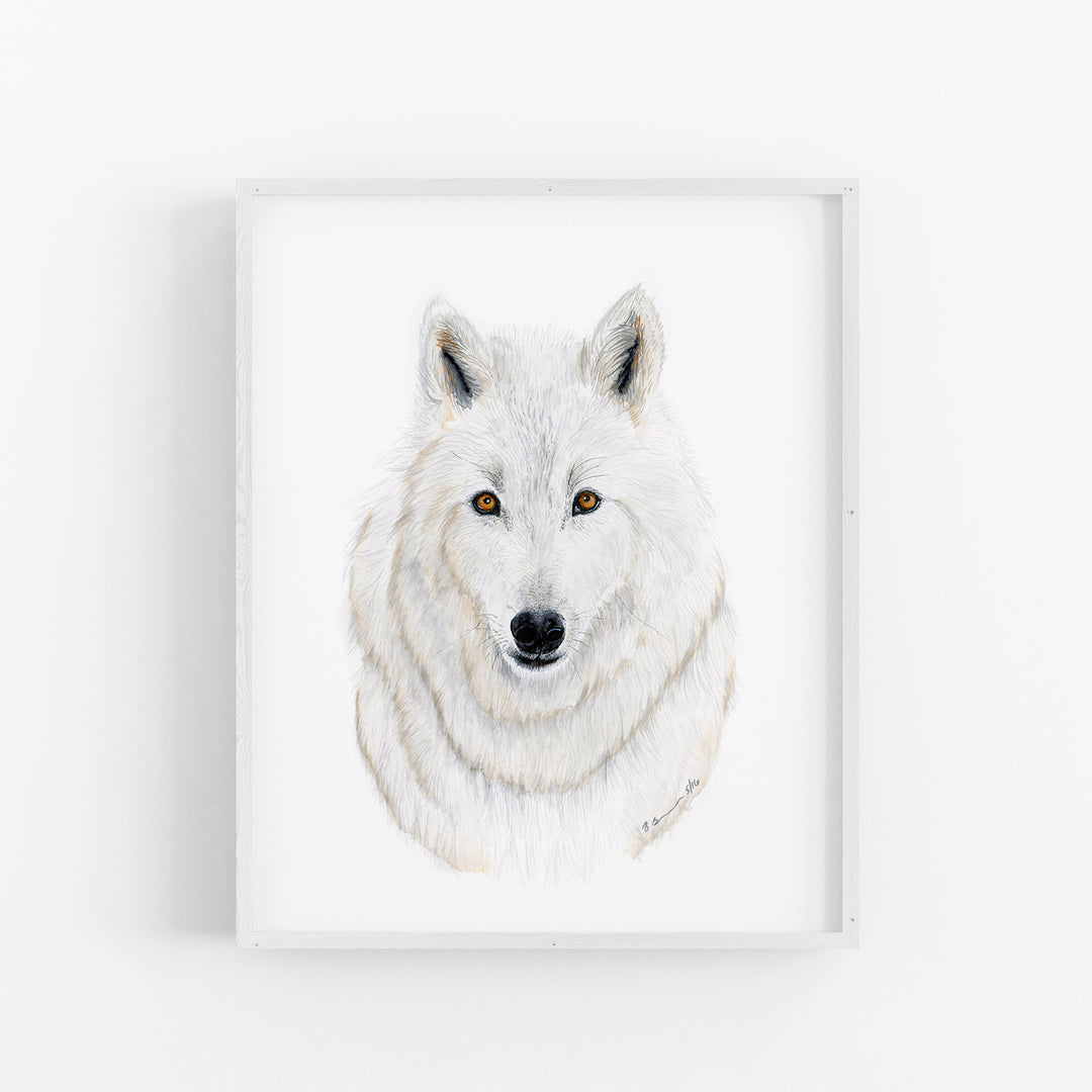 Arctic Wolf Watercolor Portrait - Tiny Toes Design
