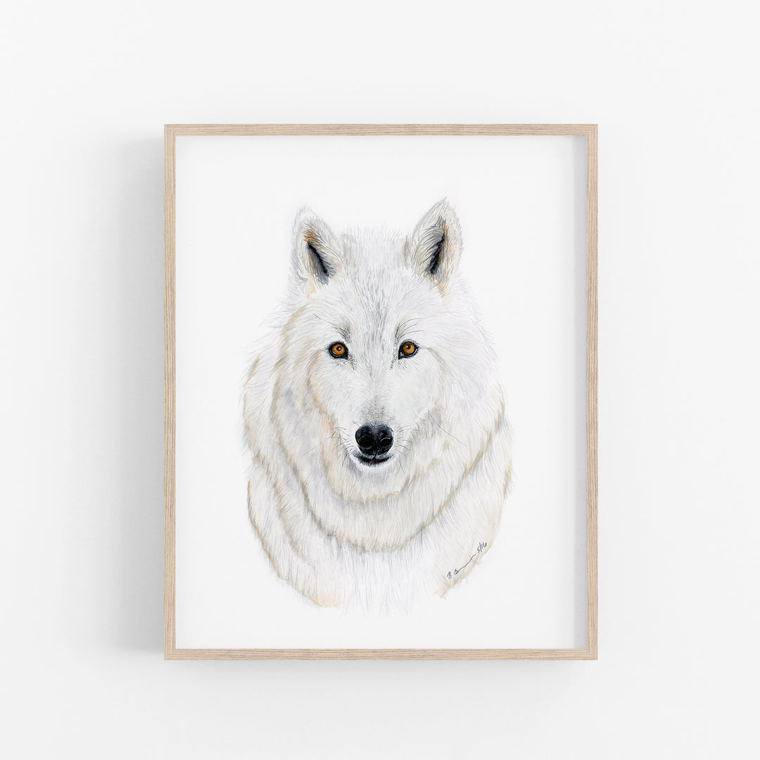 Arctic Wolf Watercolor Portrait - Tiny Toes Design