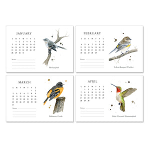 Bird Calendar 2024 for Desk
