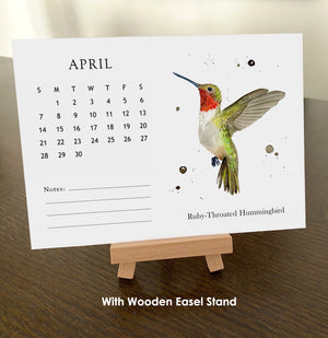 Bird Watercolor Calendar 2024