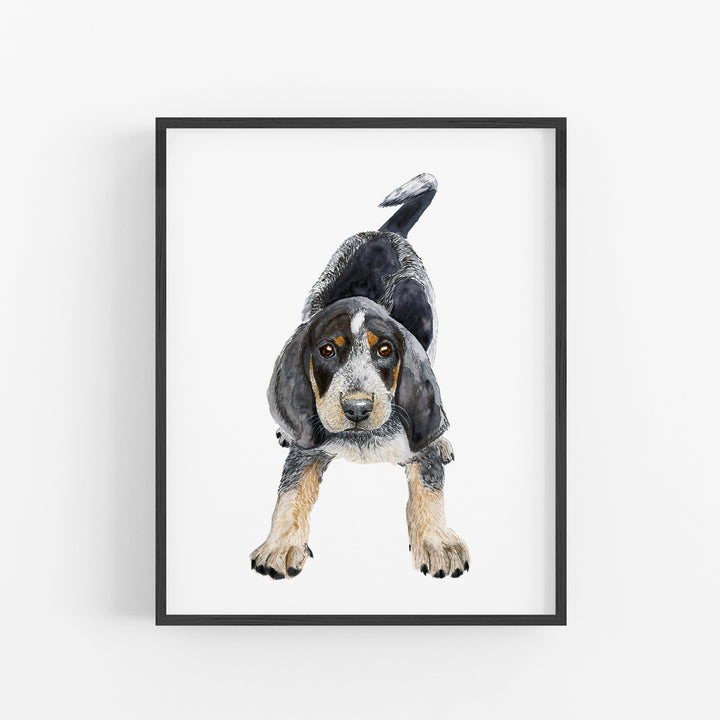 Bluetick Coonhound Puppy - Tiny Toes Design