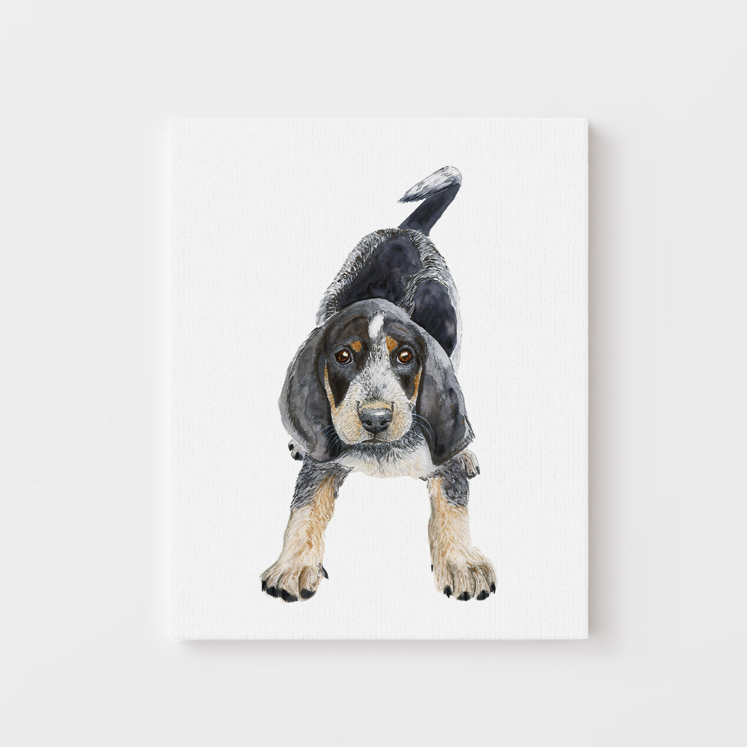 Bluetick Coonhound Puppy - Tiny Toes Design