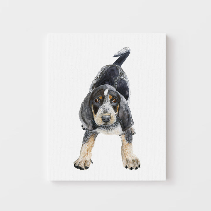 Bluetick Coonhound Puppy - Tiny Toes Design