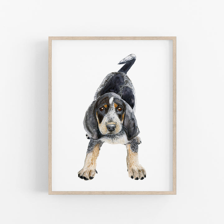 Bluetick Coonhound Puppy - Tiny Toes Design