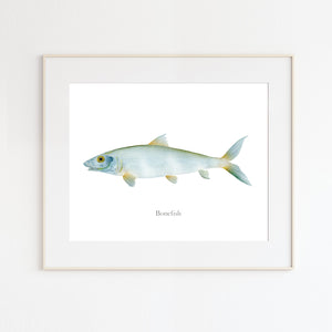 Bonefish Watercolor Print