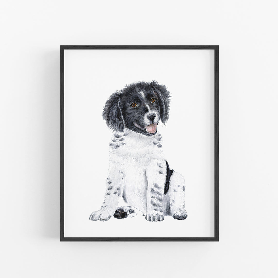 Border Collie Puppy - Tiny Toes Design