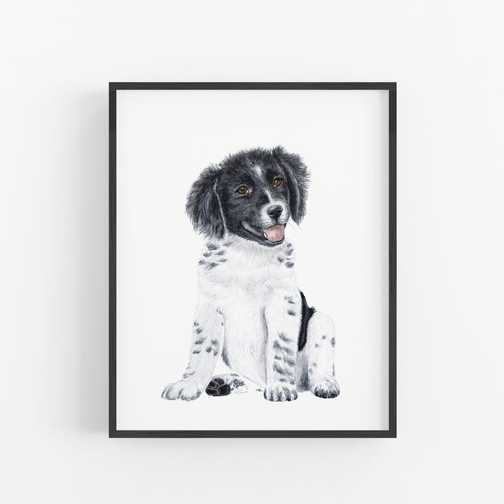 Border Collie Puppy - Tiny Toes Design