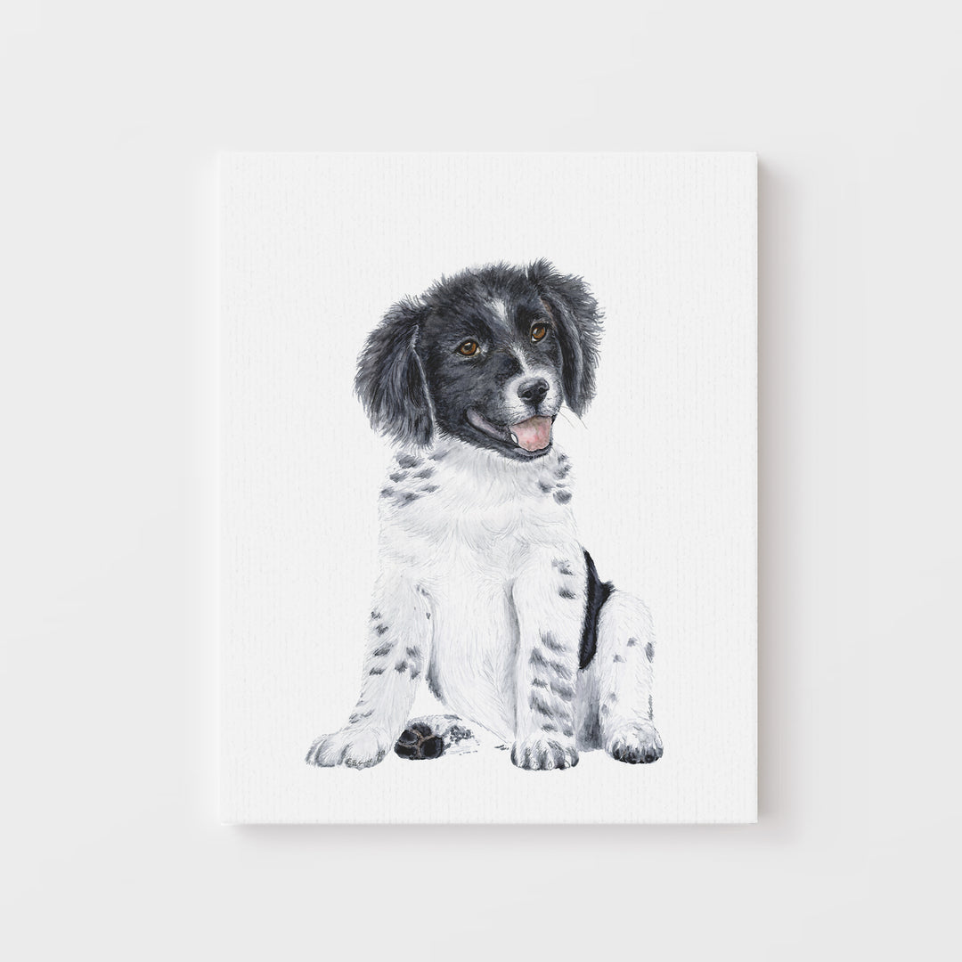 Border Collie Puppy - Tiny Toes Design