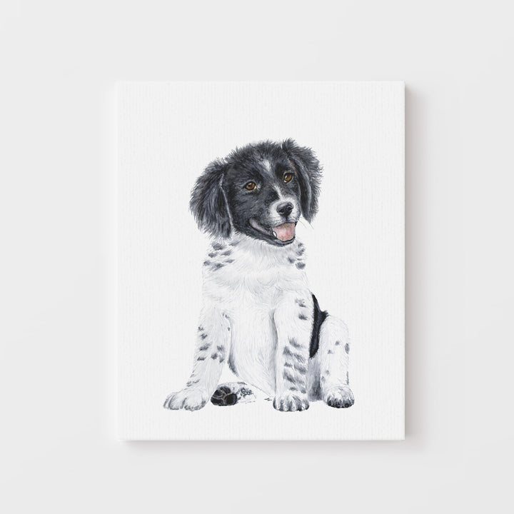 Border Collie Puppy - Tiny Toes Design